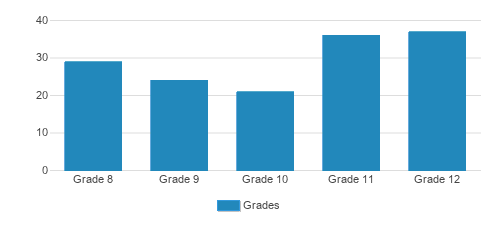 The Piney Woods School Student By Grade The Piney Woods School Student By Grade